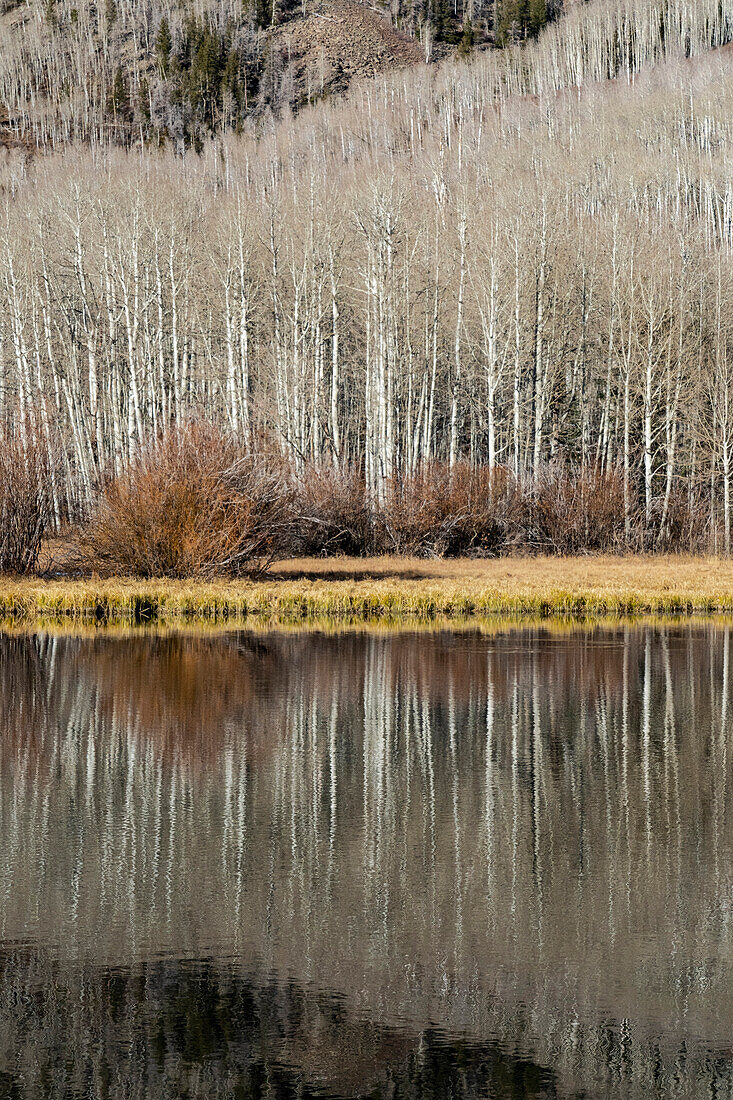 USA, Utah. Spiegelungen am Warner Lake, Manti-La Sal National Forest.