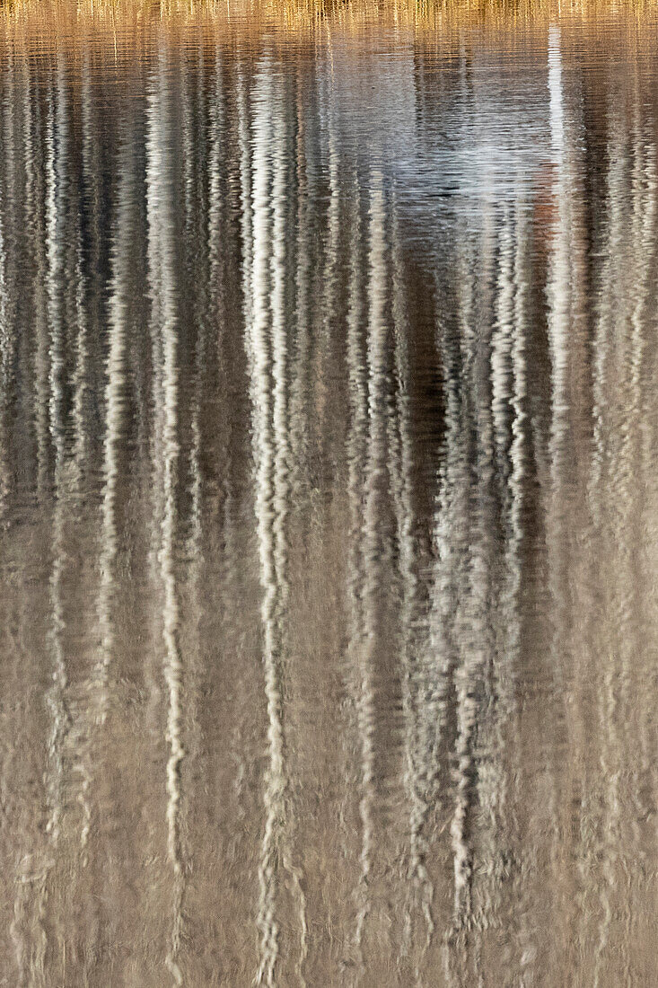 USA, Utah. Aspen reflections on Warner Lake, Manti-La Sal National Forest.