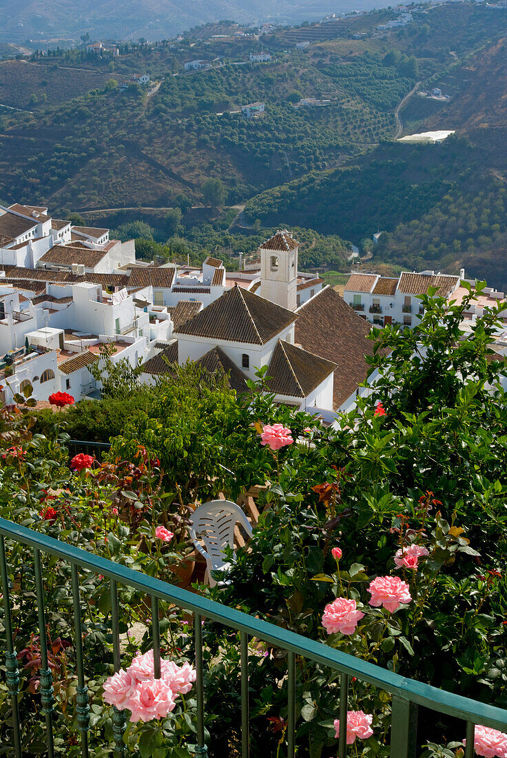 View Of Town