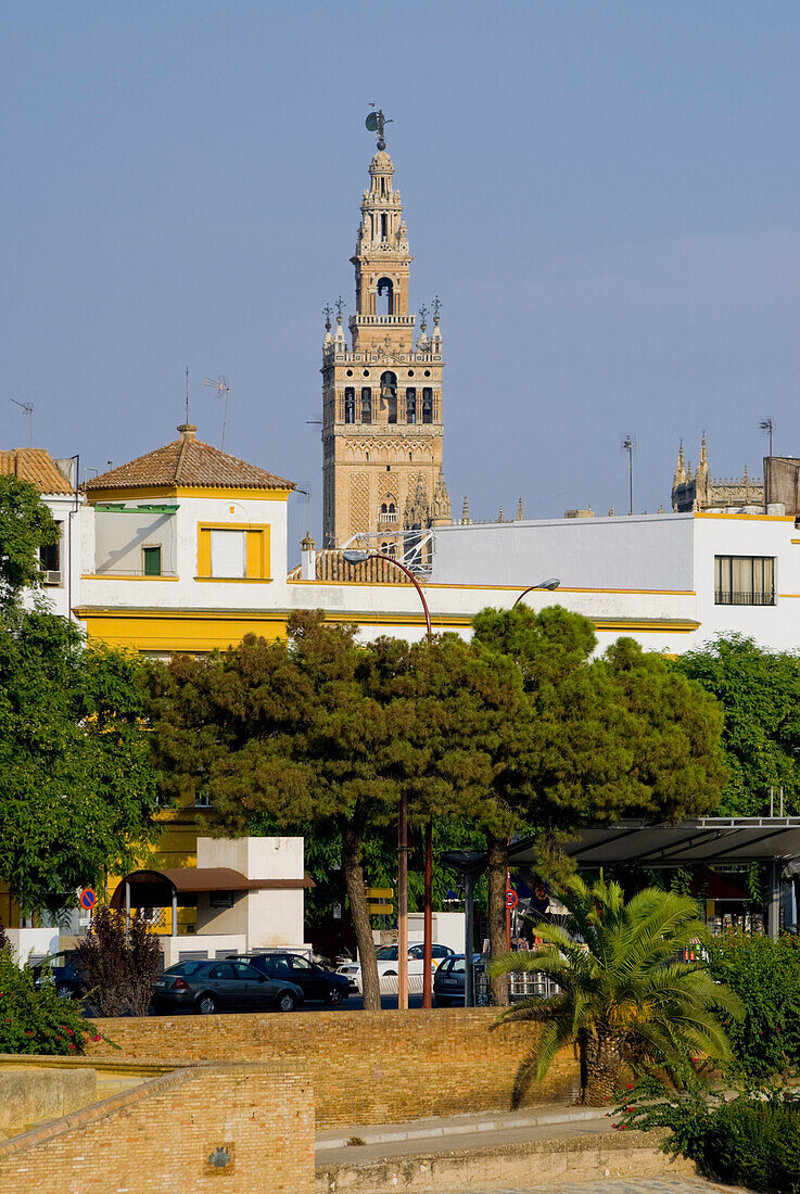 Patio De Las Banderas, Kathedrale