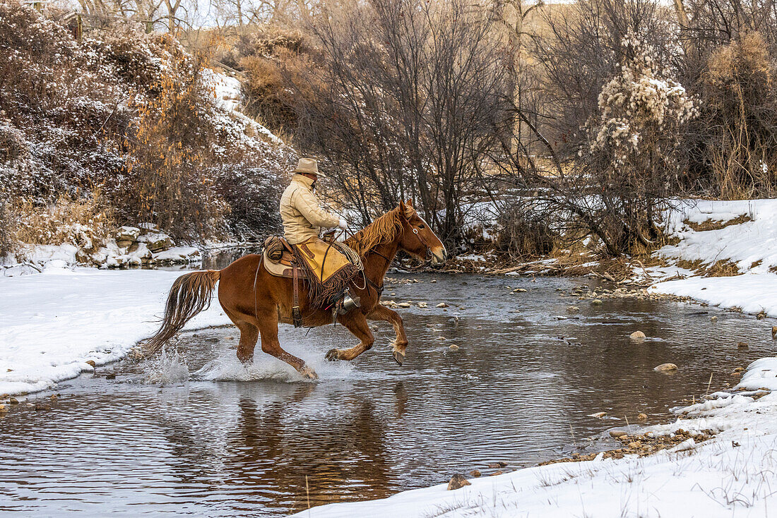 USA, Wyoming. Hideout Horse Ranch, Wrangler überquert den Bach zu Pferd. (MR,PR)