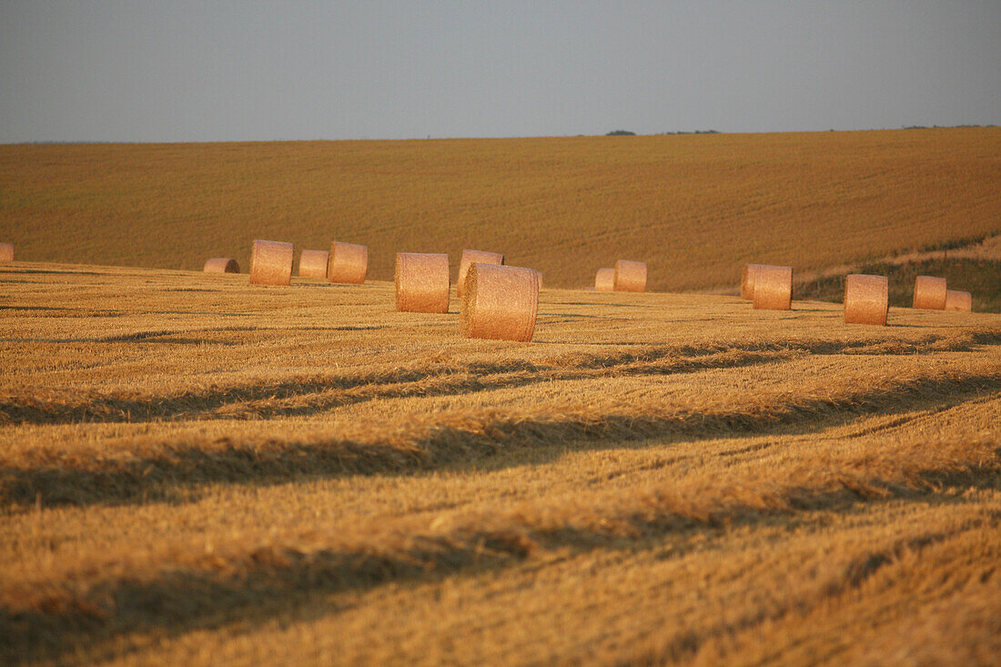 Straw Bales In Field Near Mere Village