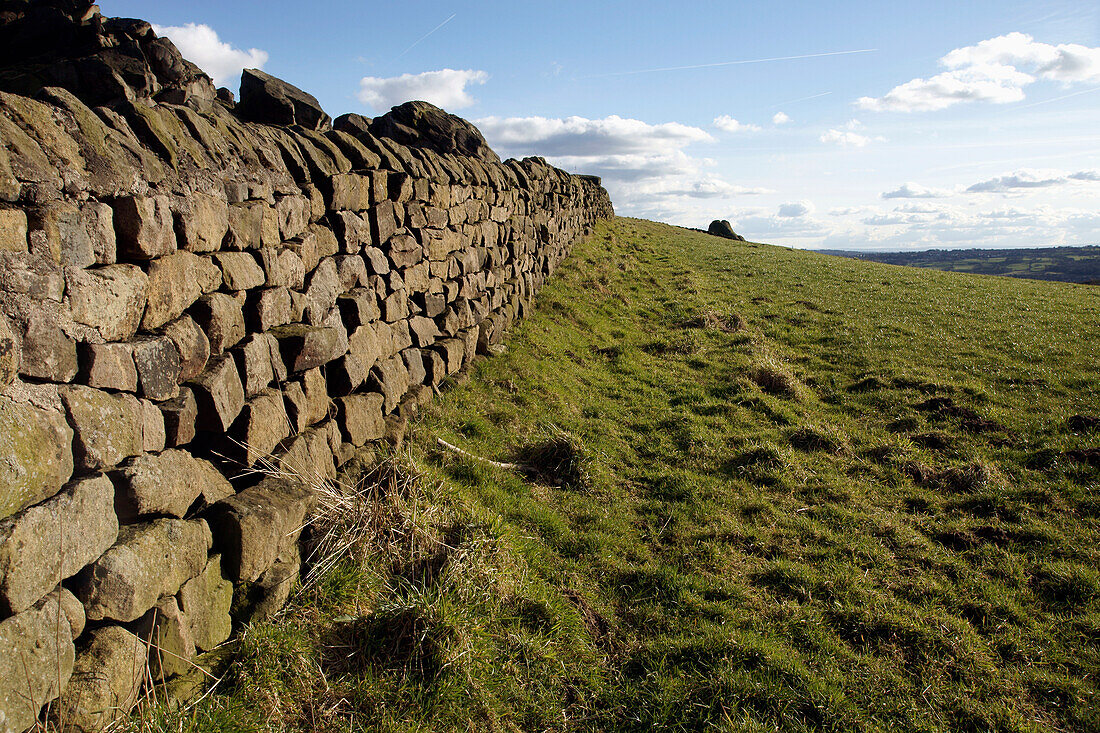 Drystone Wall Near North Rigton
