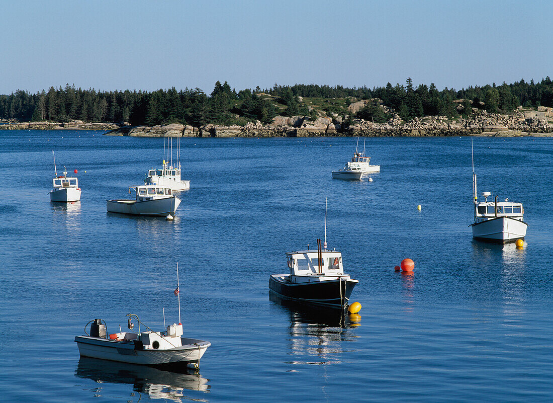 Lobster Boats In Stonington Harbour