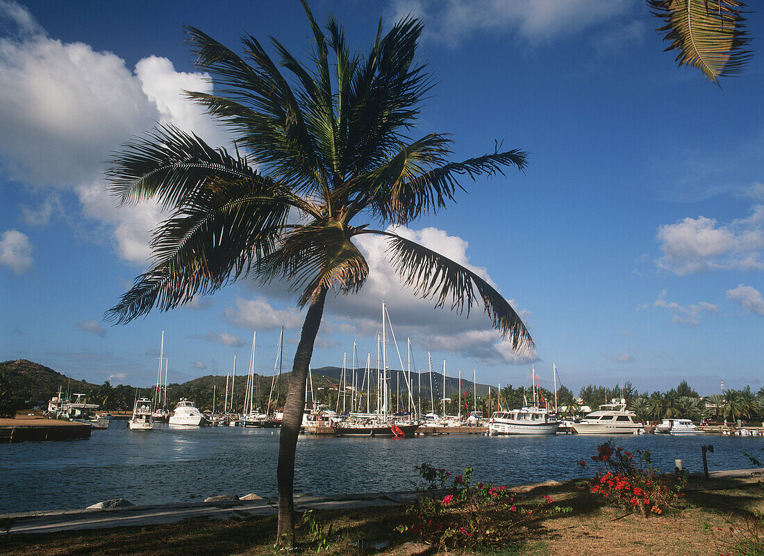 Beats In Harbour, Virgin Gorda, Spanish Town