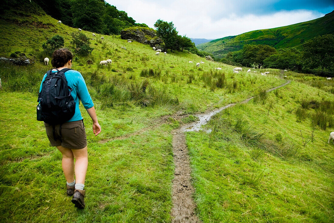 UK, Snowdonia National Park; Nordwales, Frau geht auf Wanderweg; Nantgwynant