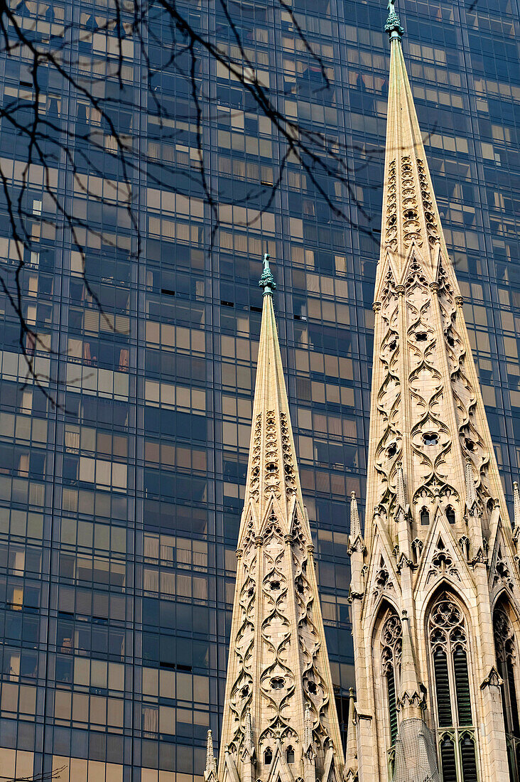 St Patrick's Cathedral In 5Th Avenue; Manhattan, New York, Usa