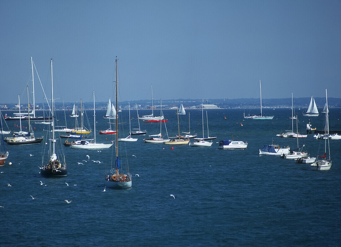 Yacht Mooring, Cowes
