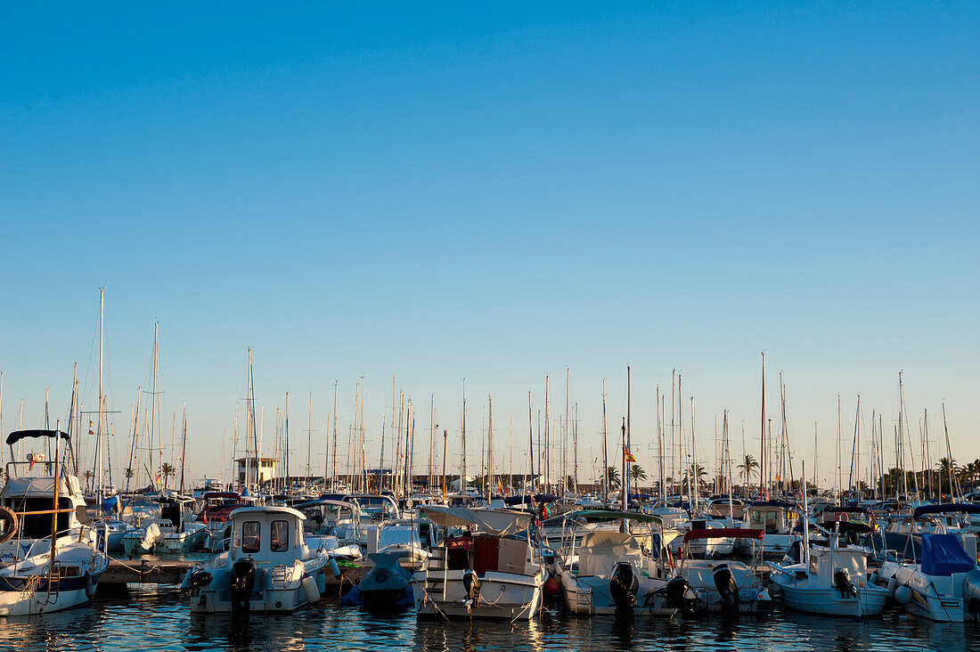 Boote im Hafen von Alcudia, Mallorca, Balearen, Spanien