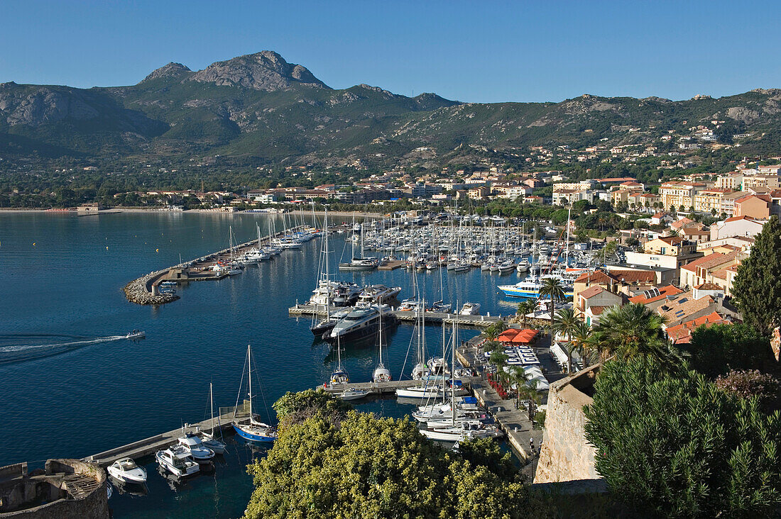 Calvi viewed from the citadel. The Balagne district. Corsica. France