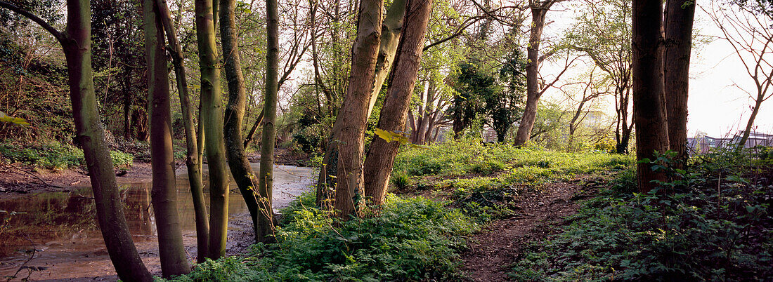 Thames path in West London, near Richmond; London, England