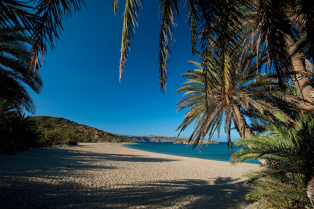 Greece, Vai Beach and Palm Trees; Crete