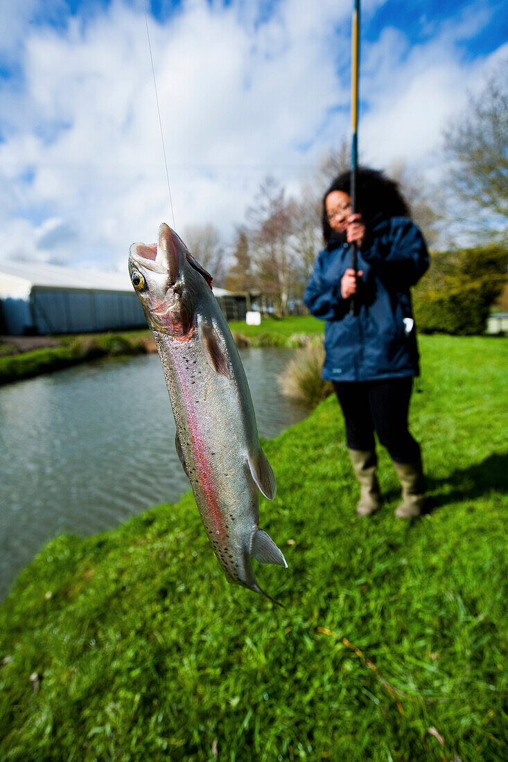 Young Women At A Fish Farm Catching Trout With A Fishing Rod; Vale Of The White Horse, Oxfordshire, Uk