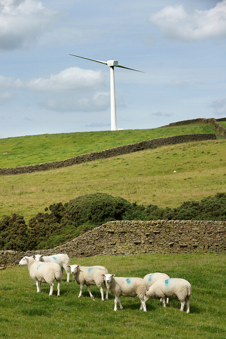 Near Skipton, West Yorkshire, England, Uk.