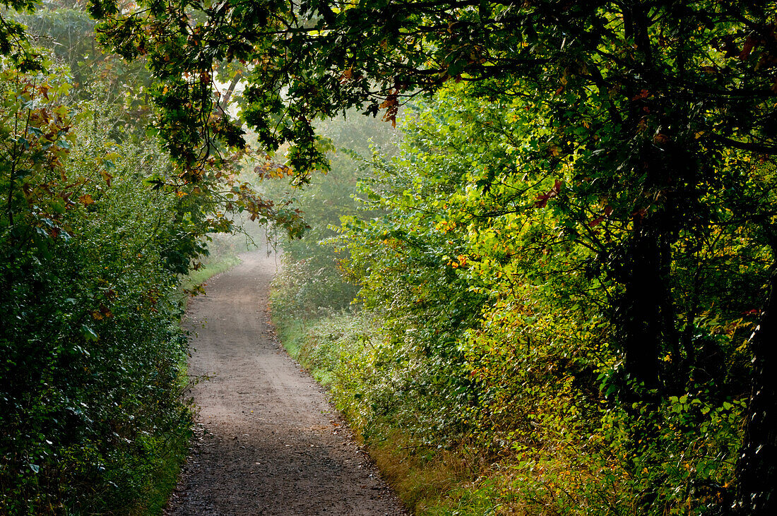 Surrey, Vereinigtes Königreich