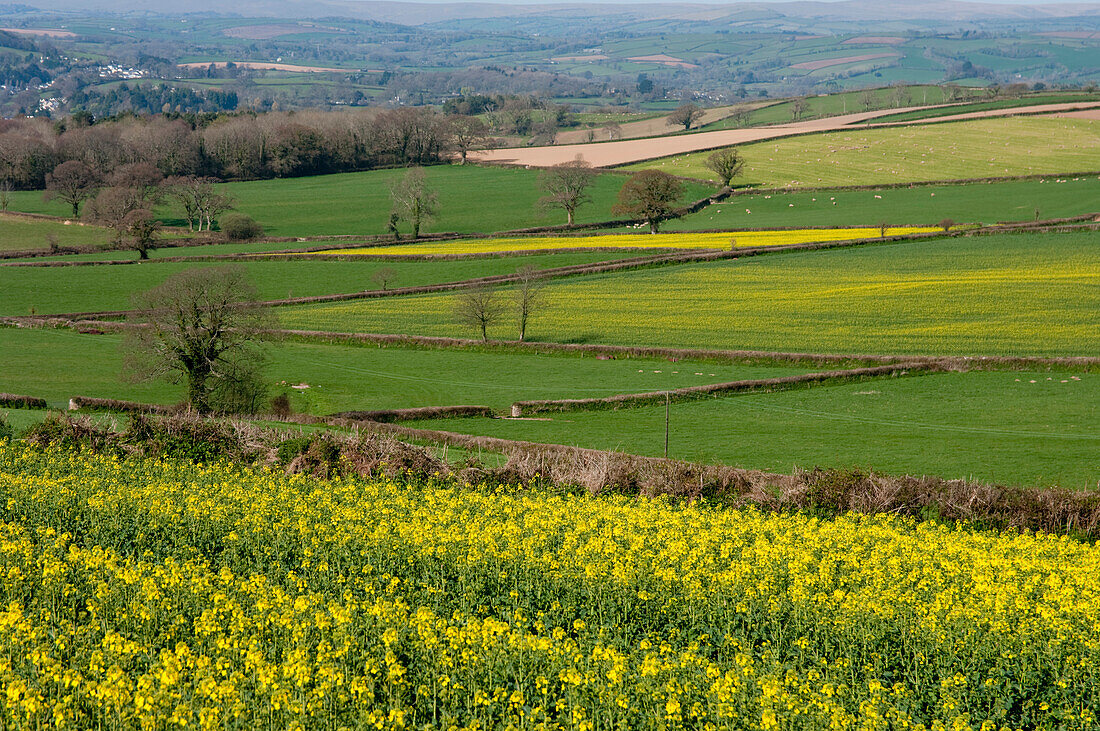 Pomeroy, Devon, Vereinigtes Königreich