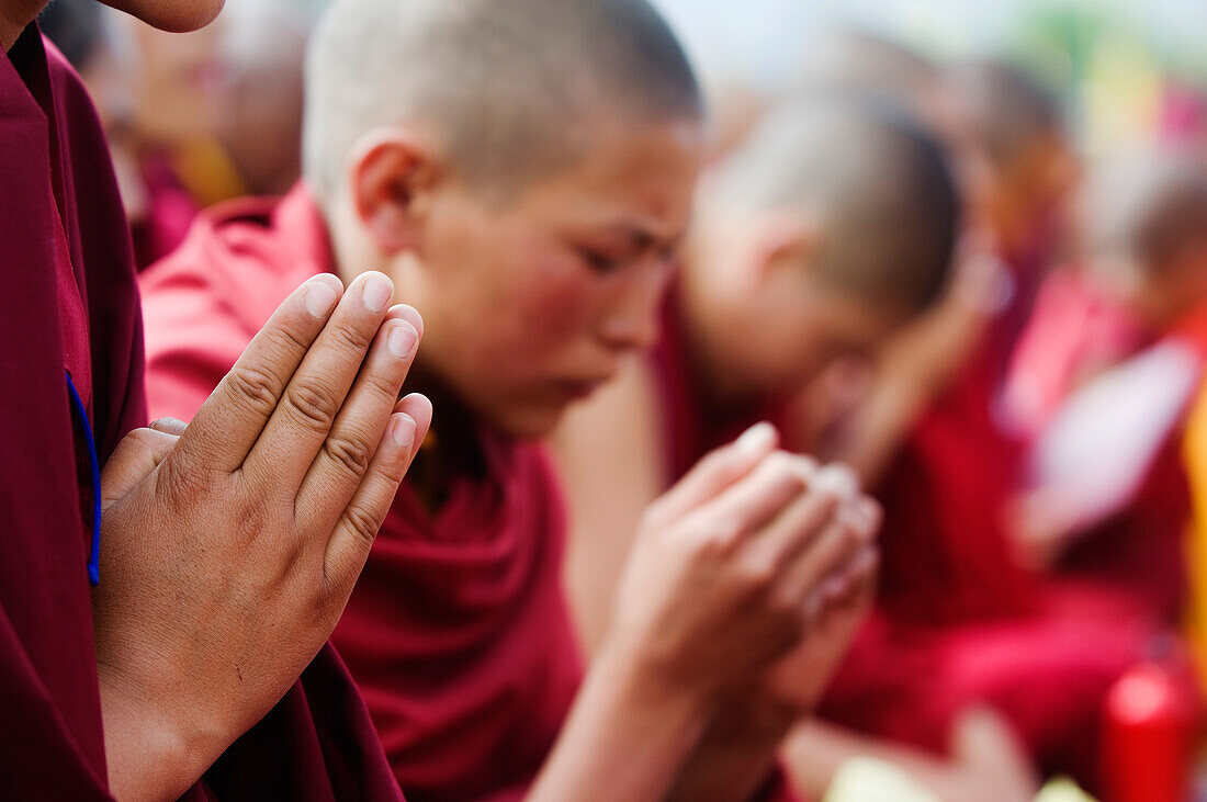 Junge Mönche bei den Unterweisungen des Dalai Lama; Leh, Ladakh, Kaschmir, Indien