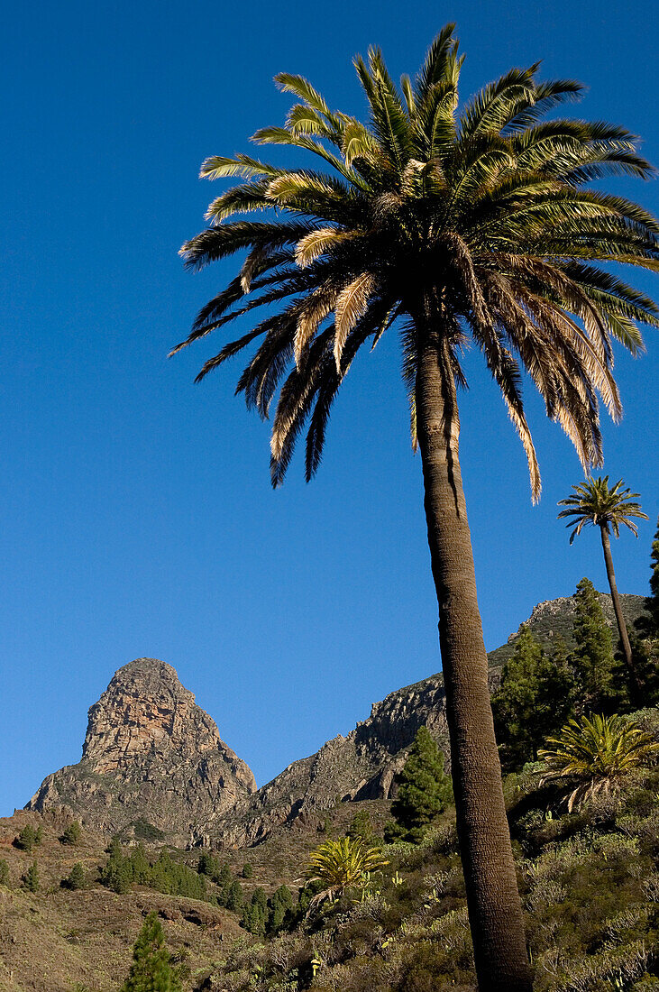Island Of La Gomera, Canary Islands, Spain