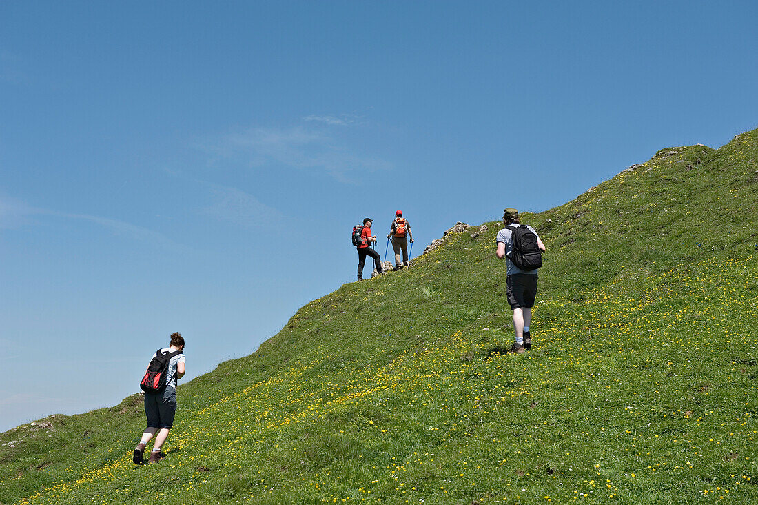 Hikers climbing to the summit of Karstein. Kitzbuehel, Tyrol, Austria.