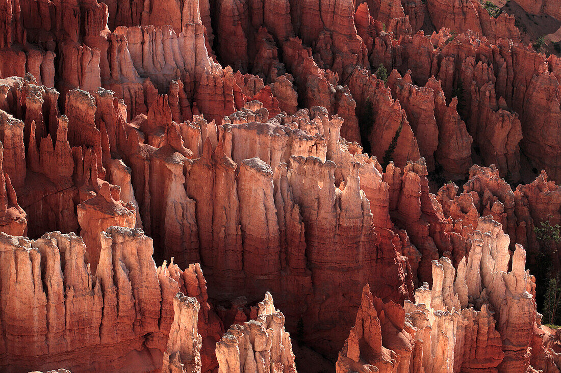 Utah. Morgenblick auf die Hoodoos vom Inspiration Point am Bryce Canyon. Doug Mckinlay/Axiom