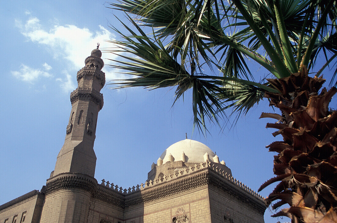 Niedriger Blickwinkel des Minaretts und der Kuppel der Sultan Hassan Moschee mit Palme, Kairo, Ägypten; Kairo, Ägypten