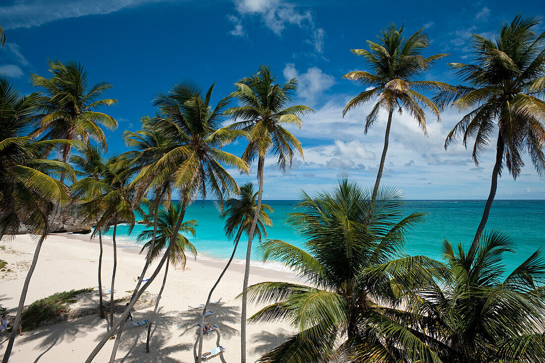 Palmen am Strand der Bottom Bay, Barbados; Barbados