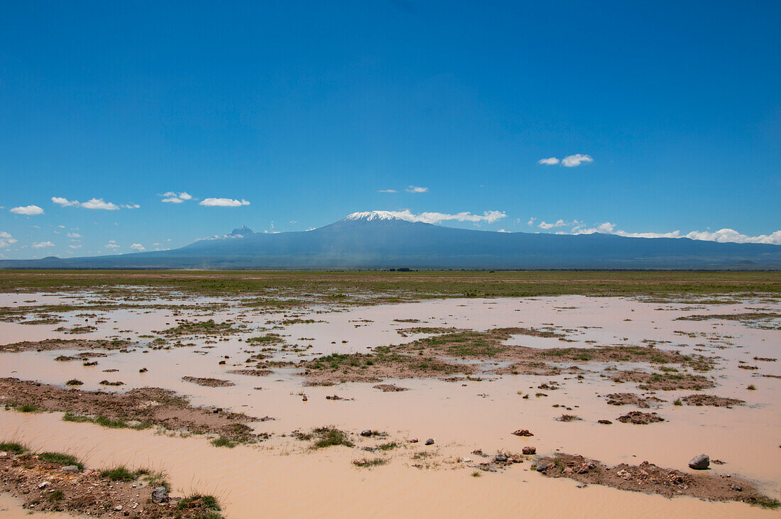 Flooded Landscape, Mt Kilimanjaro, Amboseli, Kenya