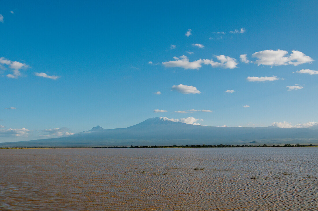 Nasse Landschaft, Mt Kilimanjaro, Amboseli, Kenia