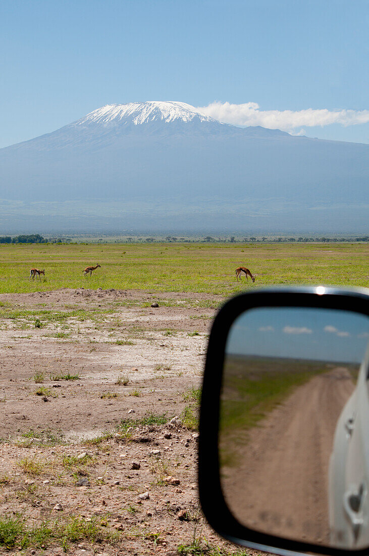Seitenspiegel eines Autos am Kilimandscharo, Amboseli, Kenia