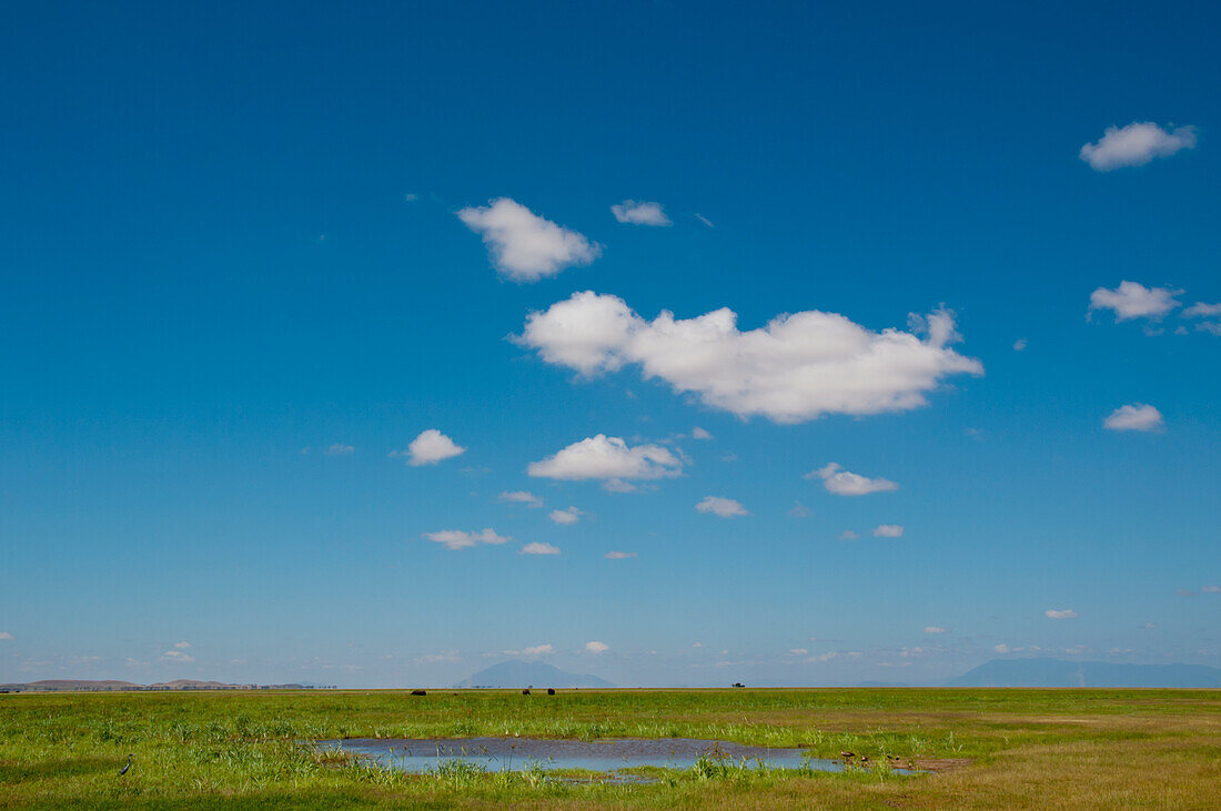 Wasserloch und Himmel in Amboseli, Kenia