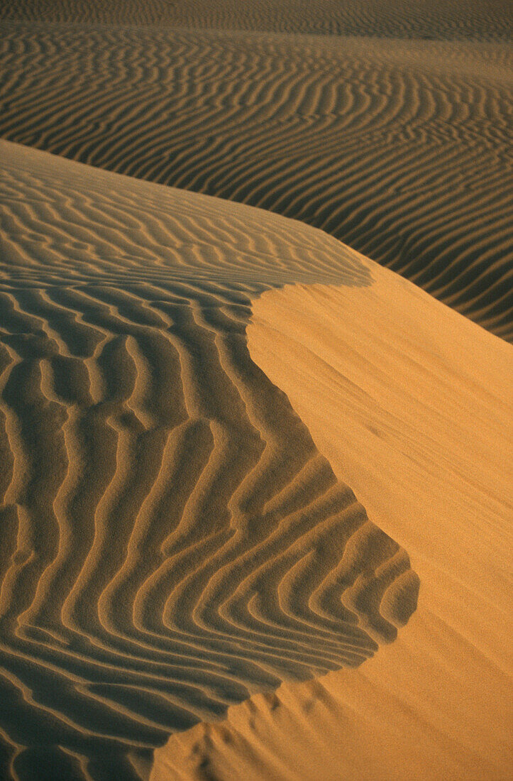 Sam, Thar Desert, Rajasthan, India