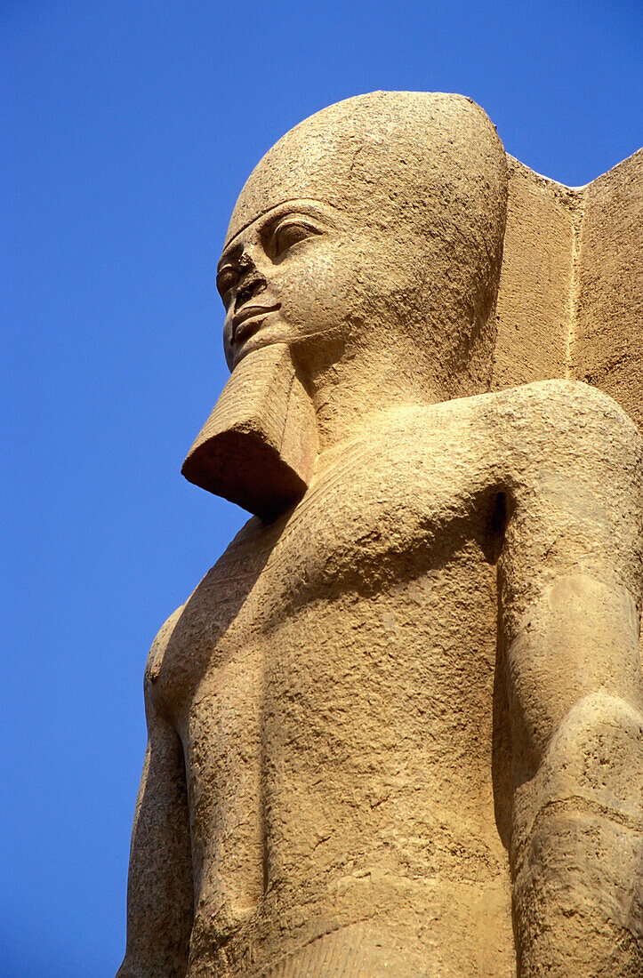 Niedriger Blickwinkel der Statue von Ramses Ii, Memphis, Ägypten; Memphis, Ägypten