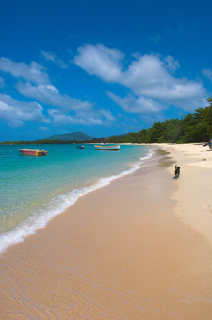 Boats On The Blue Waters Of Paradise Beach, Carriacou Islands; Grenada, Caribbean