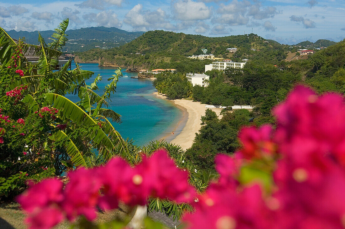 High Angle View Of Magazine Beach Viewed From The Maca Bana Hotel; Grenada, Caribbean