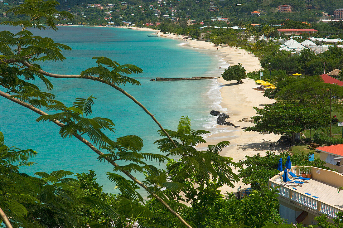 Blick von oben auf Grand Anse Beach mit Palmen; Carriacou Island, Grenada
