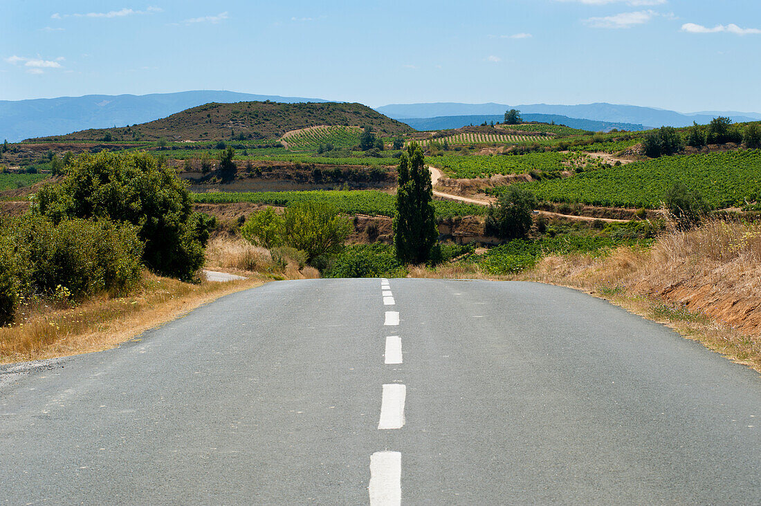 Straße in La Rioja Alavesa, Baskenland, Spanien