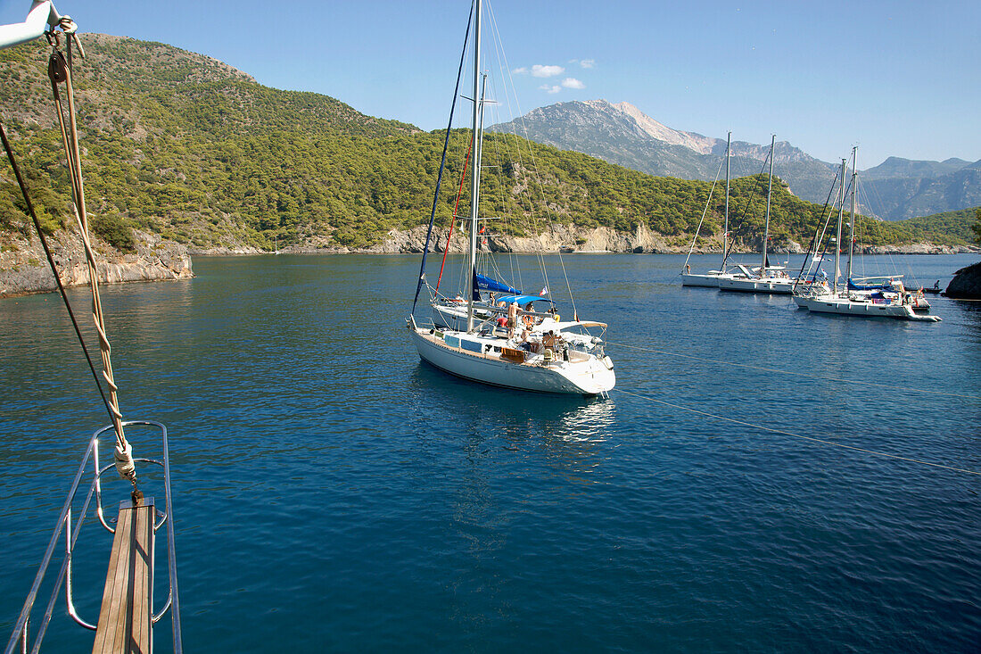 Pleasure Cruise Boats From Oludeniz, In Coldwater Bay, The Turquoise Coast, Southern Turkey
