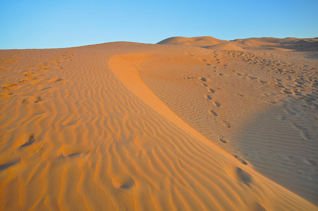Liwa Desert Dune, Empty Quarter, Abu Dhabi