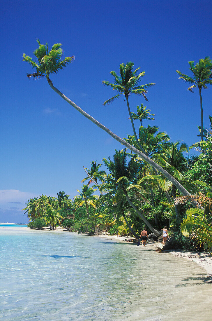 Palmen und Strand Aitutaki Lagune, Cook Inseln.
