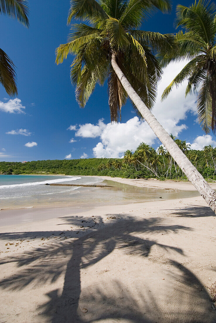 Blick entlang des Strandes von La Sagesse, Grenada.