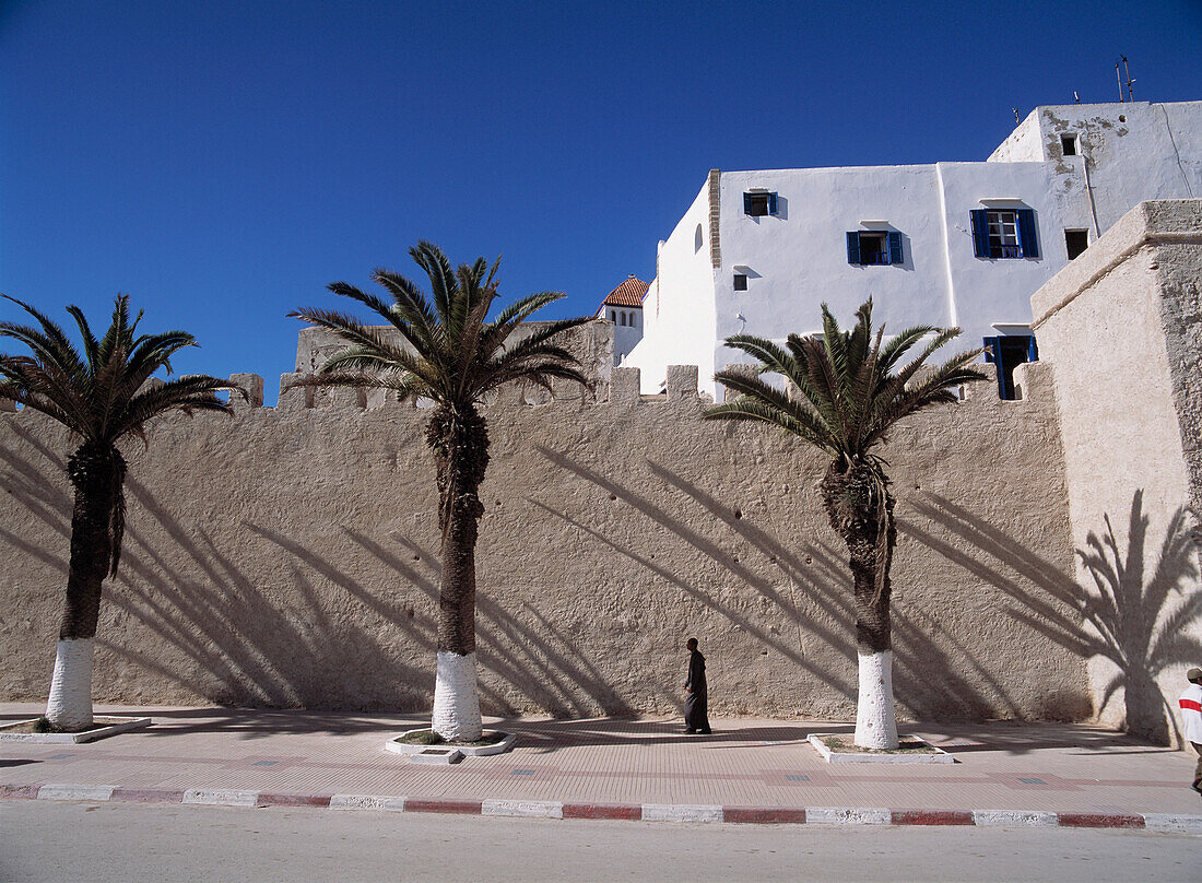 Man Walking Past Date Palms And The City Walls Of Essaouira, Morocco.