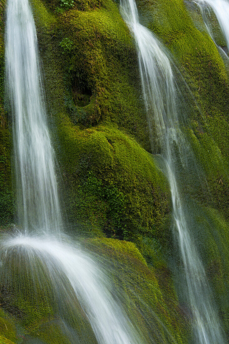 Kleiner Wasserfall über moosbewachsenen Steinen in Gleann Enich bei Aviemore, Highlands, Schottland, UK