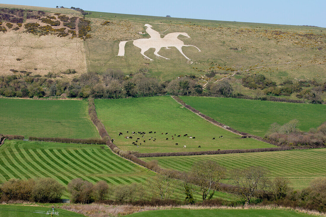 Vereinigtes Königreich, England, Dorset, Osmington Hill White Horse; Weymouth