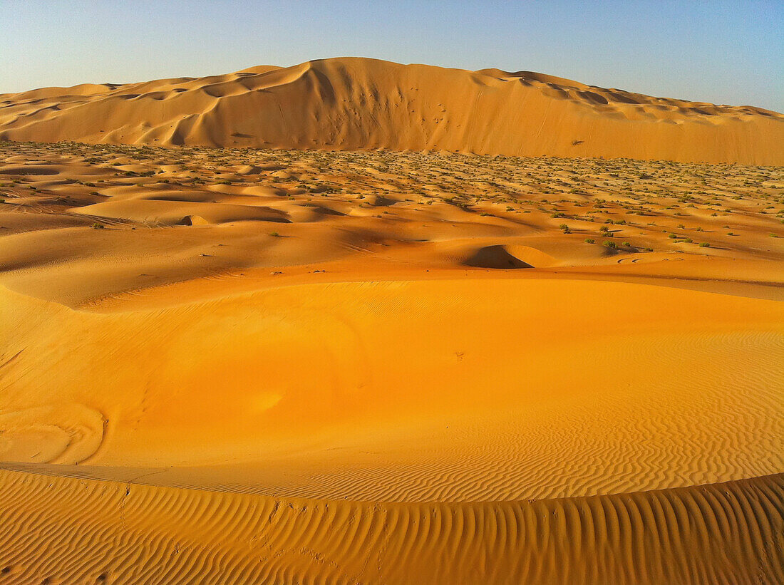 Vereinigte Arabische Emirate, Abu Dahbi, Empty Quarter, Liwa Wüstendüne