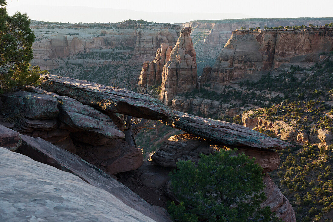 USA, Colorado, Herrliche Ausblicke auf steile Felsschluchten und Monolithen aus rotem Sandstein; Colorado National Monument