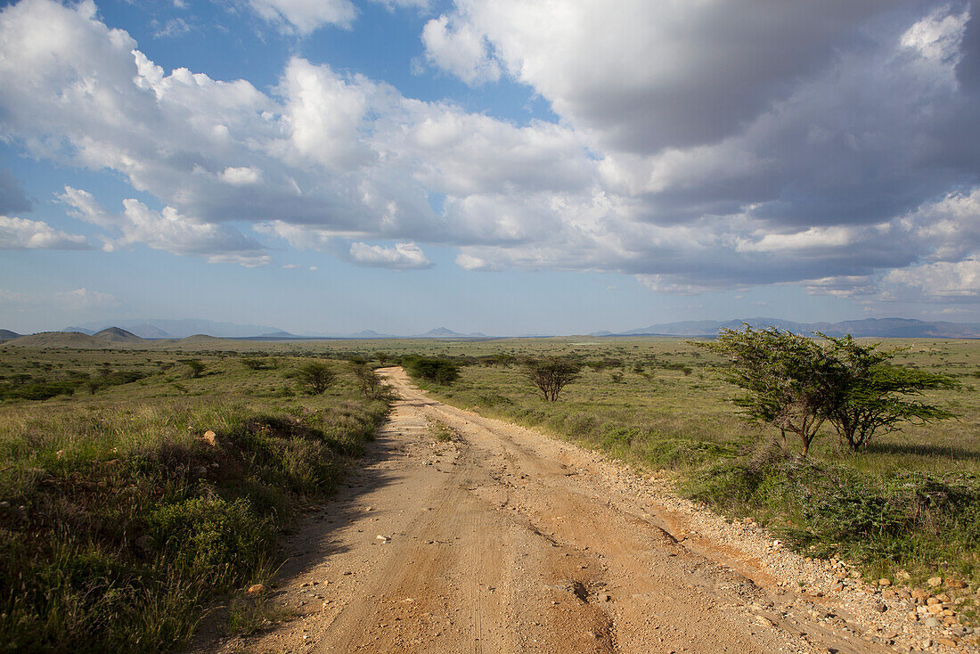 Landschaft mit Straße; Kenia