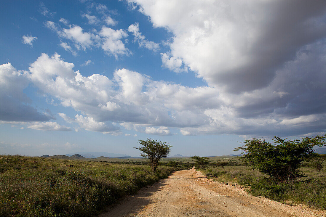 Landschaft mit Straße; Kenia