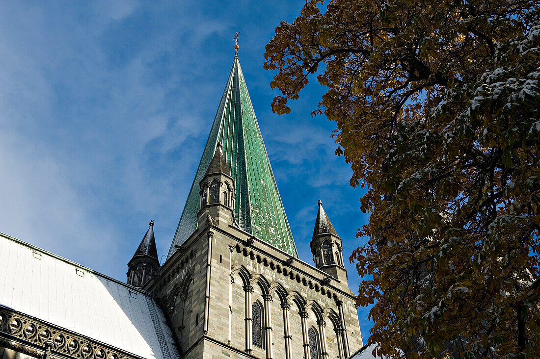 Nidaros Domkirke Dom; Trondheim, Sor-Trondelag, Norwegen