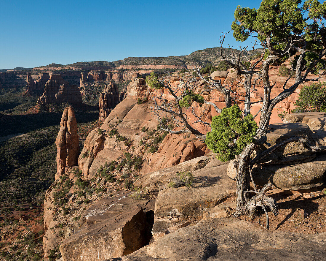 USA, Colorado, Magnificent views of sheer rock canyons and red sandstone monoliths; Colorado National Monument