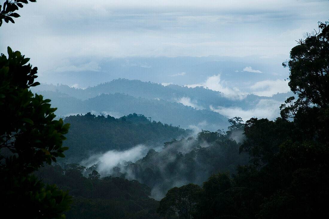 Malaysia, Ost-West 4 Autobahn; Perak, Dampf steigt von Bäumen im Dschungel in der Abenddämmerung auf